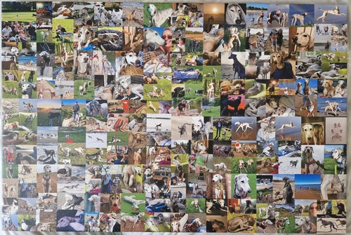 Photo du client Beverley pour l'évaluation Impression Photocollage Toile 36x24"