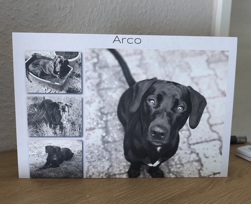 Photo du client Christiane pour l'évaluation Impression Photocollage Mousse rigide 30x20cm