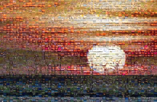 Klantfoto van Ramona Irene Thiel voor beoordeling Software