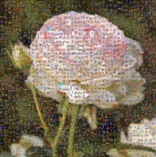 Kundenfoto von Ingrid für Bewertung Druck Fotomosaik [Online] Poster 40x40cm